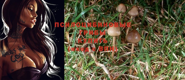 кокаин перу Алексеевка