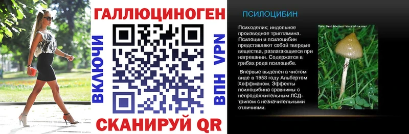 купить   Волжский  Галлюциногенные грибы Psilocybine cubensis 
